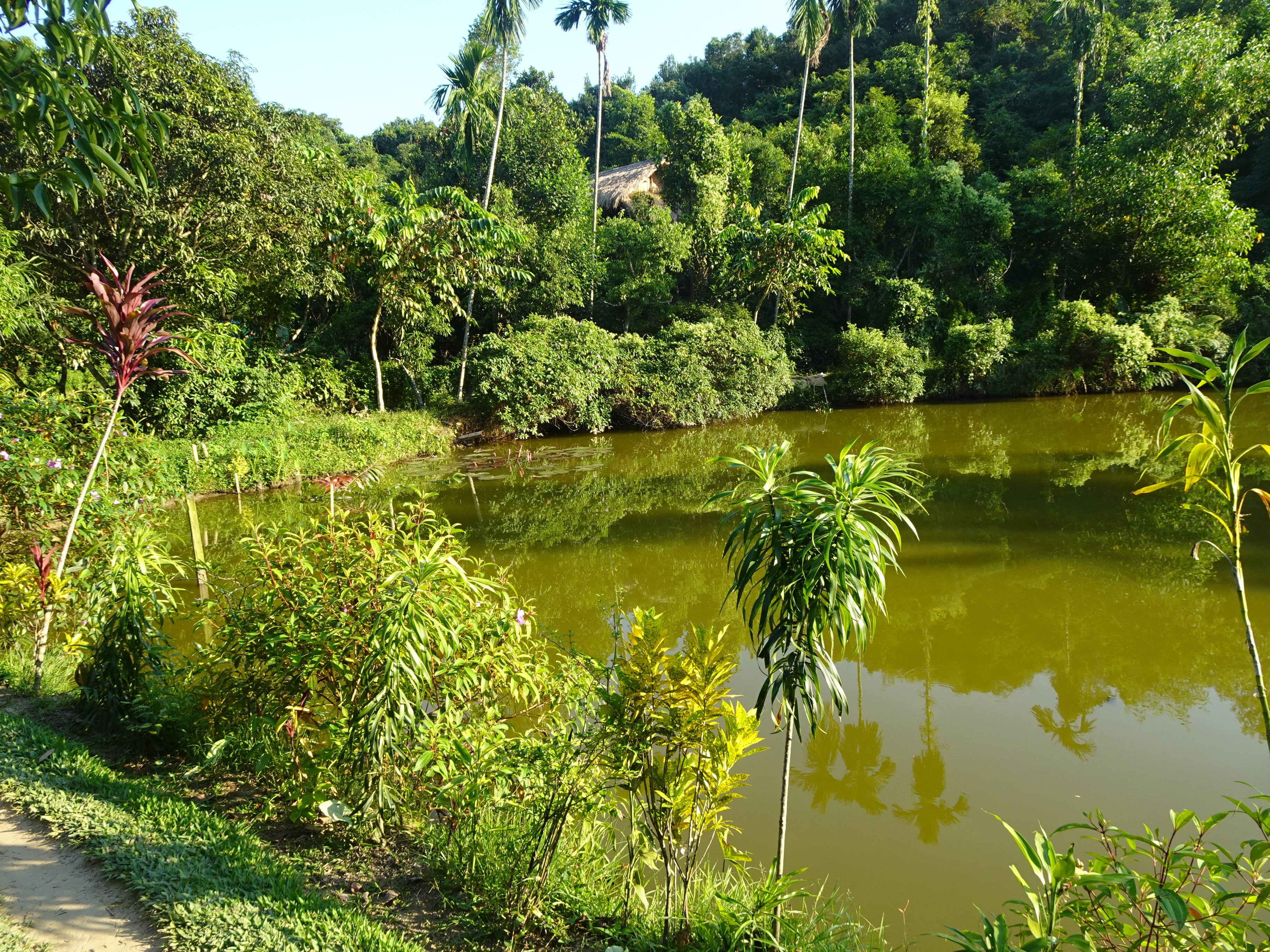 Shanti Bari (Santibari)- Resort-浴室