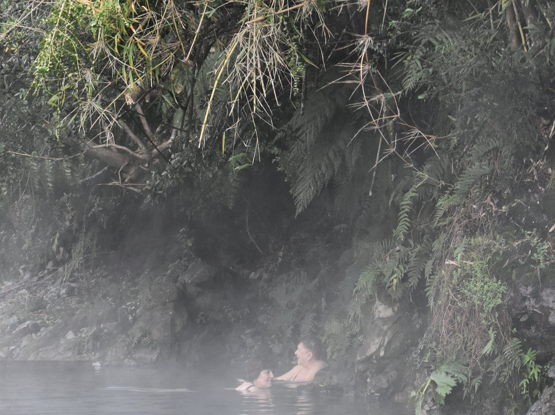 Termas De Pichicolo-Hornopiren必去景点