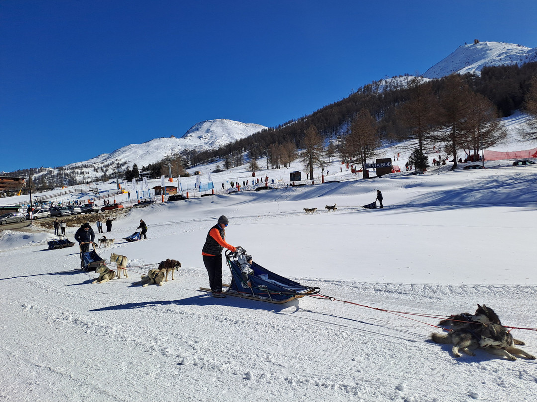 The Husky Experience Sestriere-Sestriere必去景点