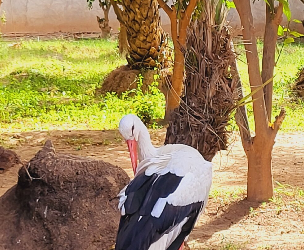 Kasbah of Tiout-Tiout必去景点