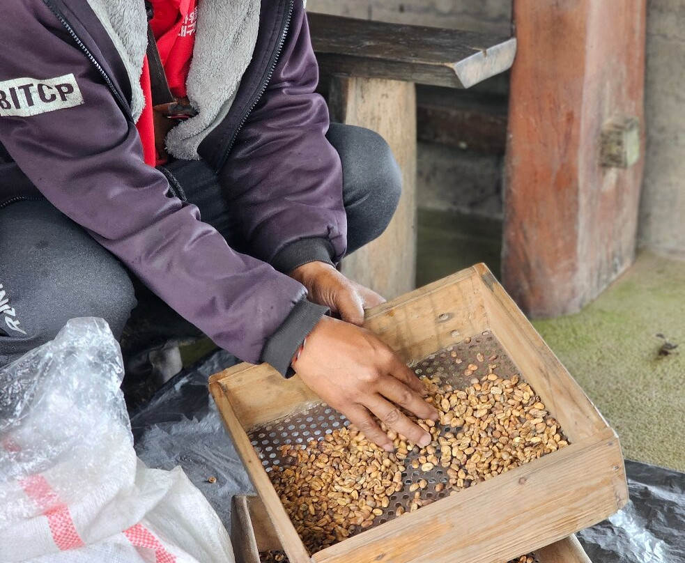 Wanagiri Coffee Plantation Bali And Luwak Coffee景点图片