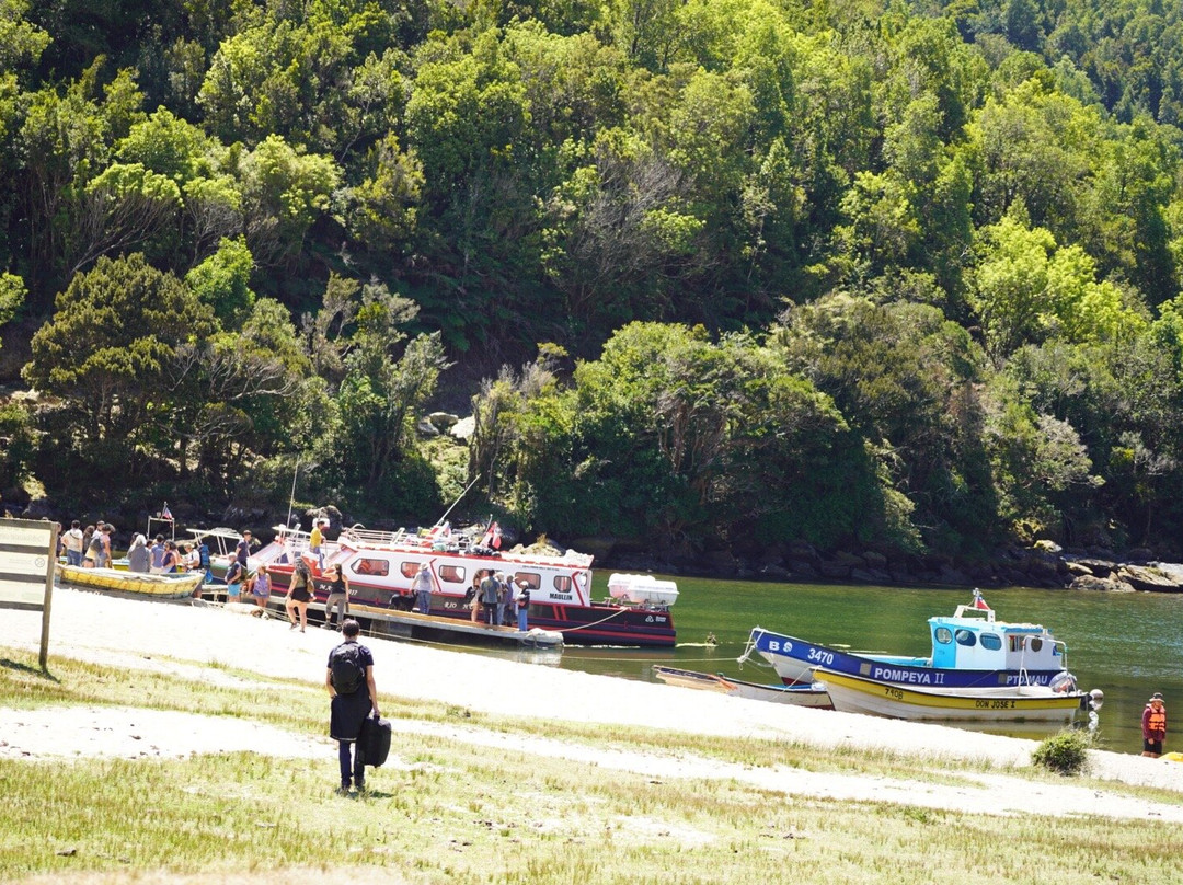 Caleta Cóndor-Osorno必去景点