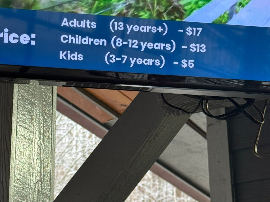 Moonshine Mountain Coaster-盖林柏格必去景点