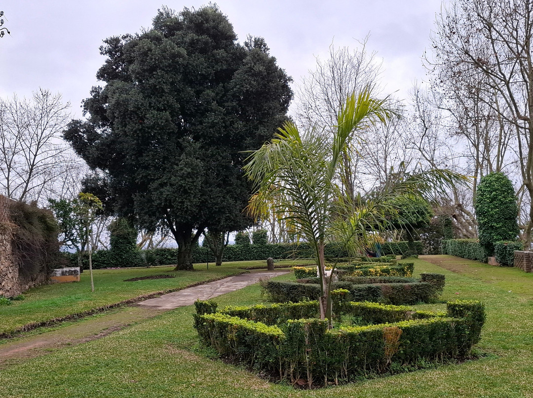 Jardim Do Castelo景点图片