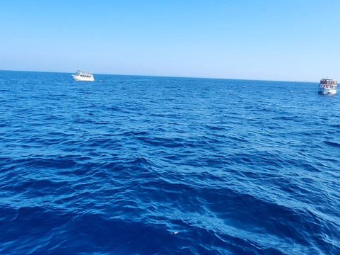 Whales Watching Sri Lanka-美蕊沙必去景点