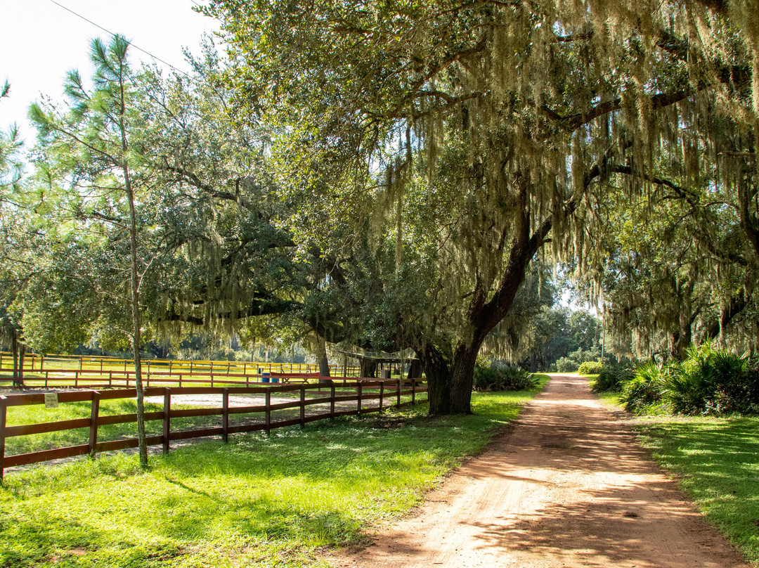Circle F Dude Ranch Camp