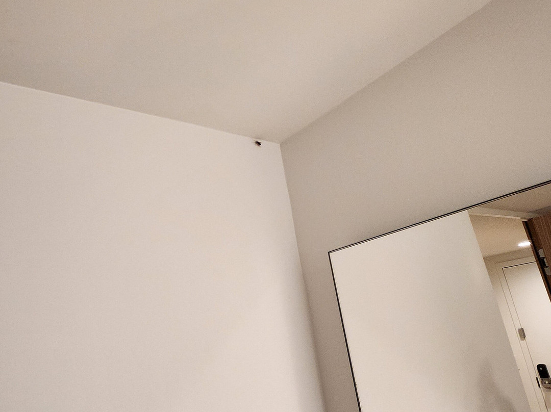 Beach Haus Bal Harbour主图