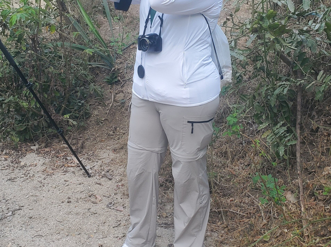 Ecotours Vallarta-瓦拉塔港必去景点