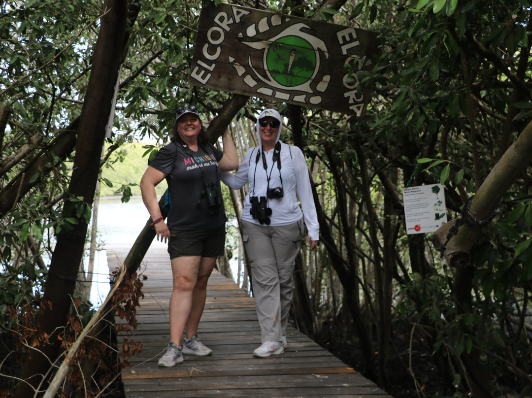 Ecotours Vallarta-瓦拉塔港必去景点