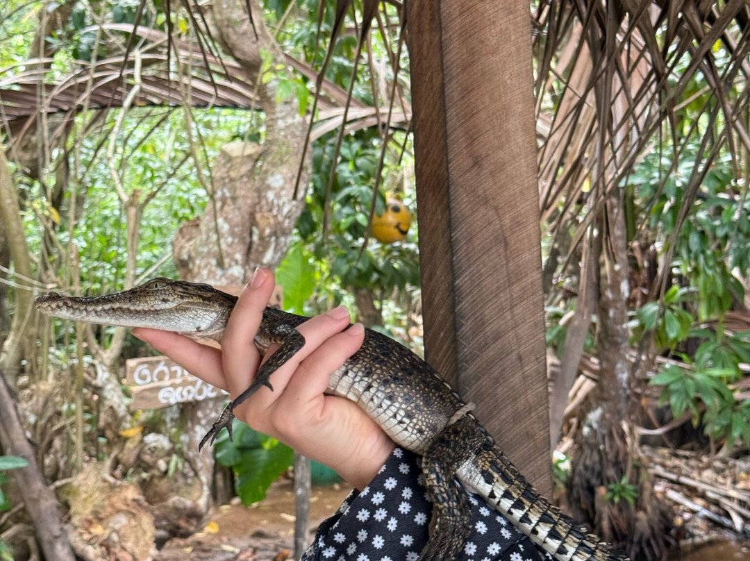 Fly Wings Srilanka Holidays-Aluthgama必去景点