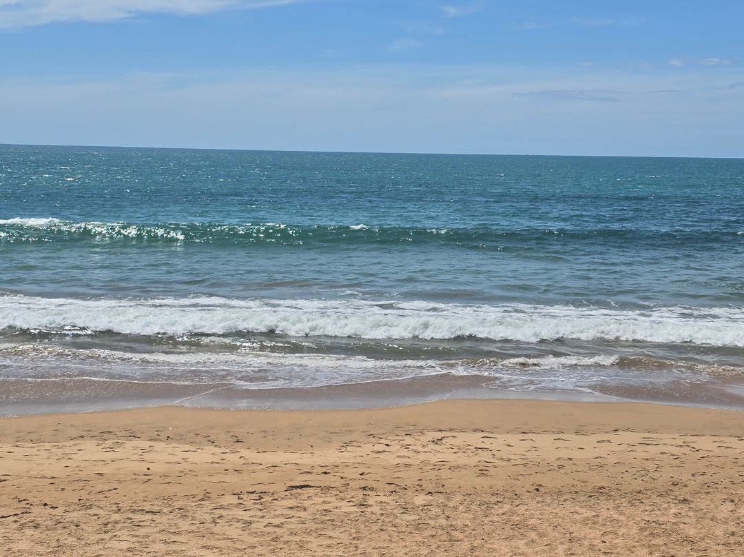 Doubtless bay-Karikari Peninsula必去景点