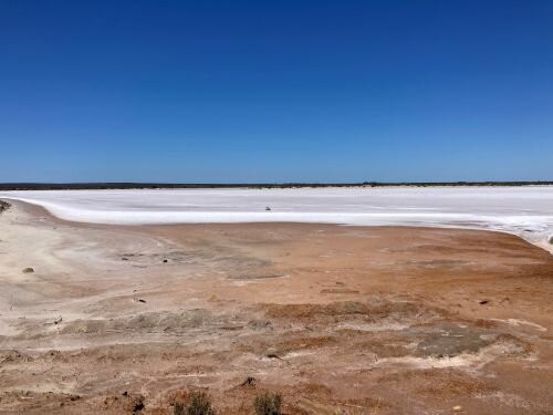 Lake King Nature Reserve景点图片