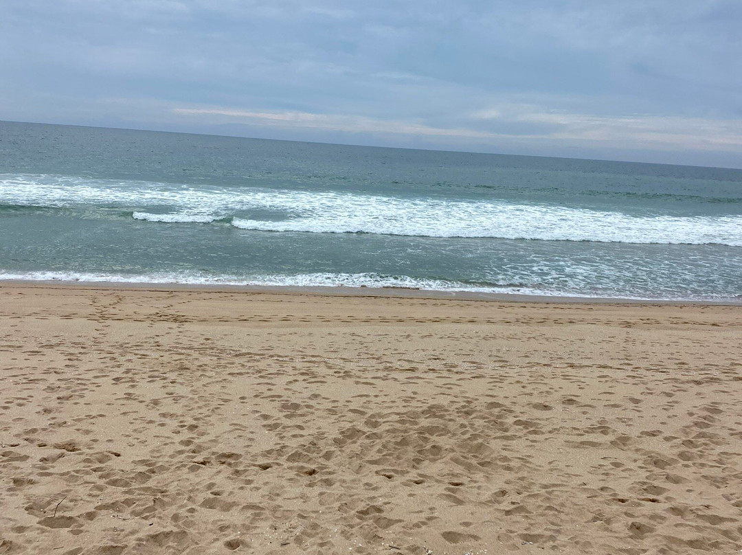 Eco Salgados Agroturismo-佩尼切必去景点