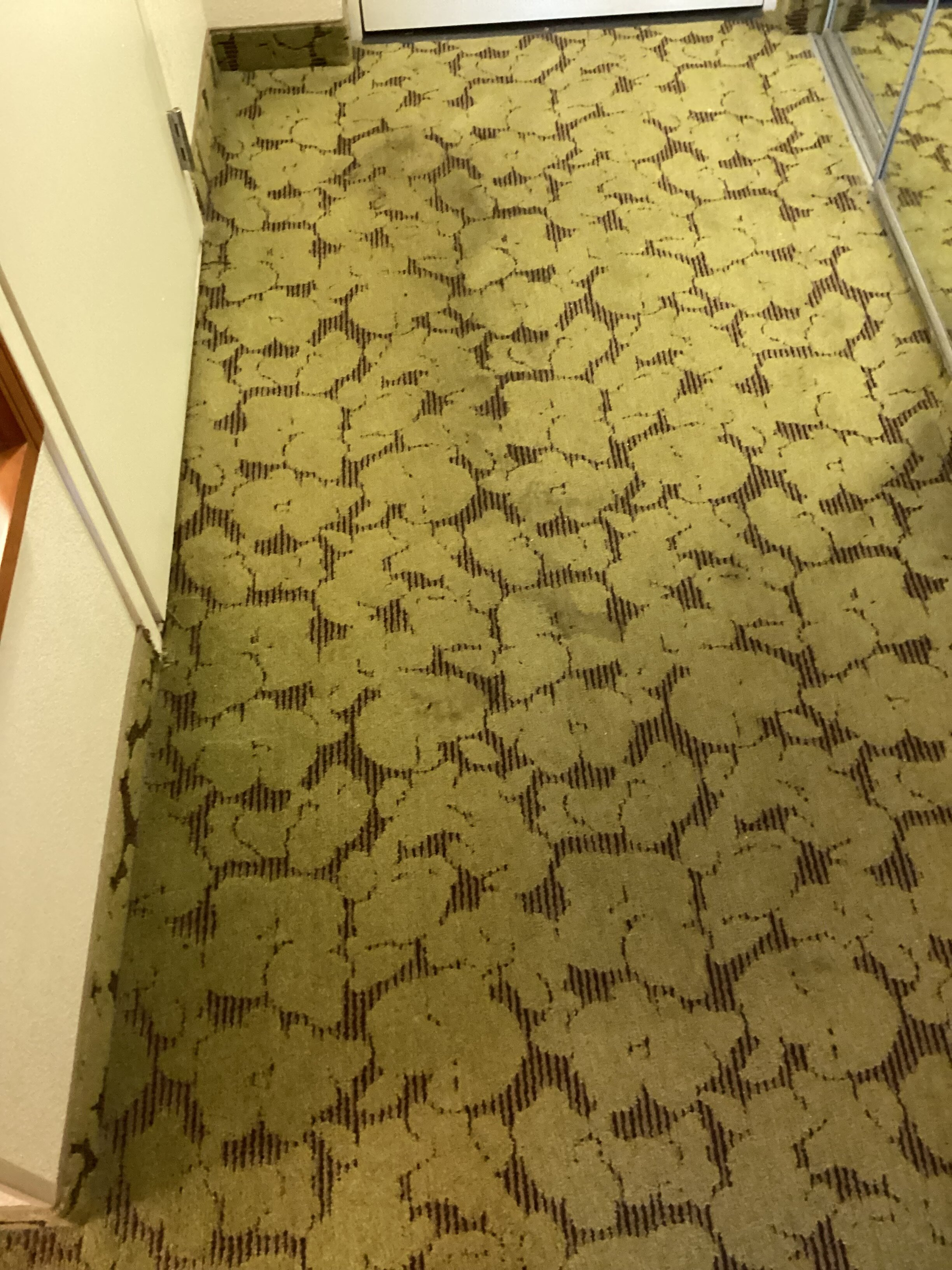 塔拉哈西中央希尔顿花园酒店-客卧