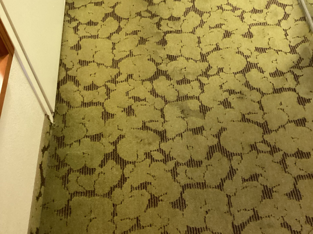 塔拉哈西中央希尔顿花园酒店主图