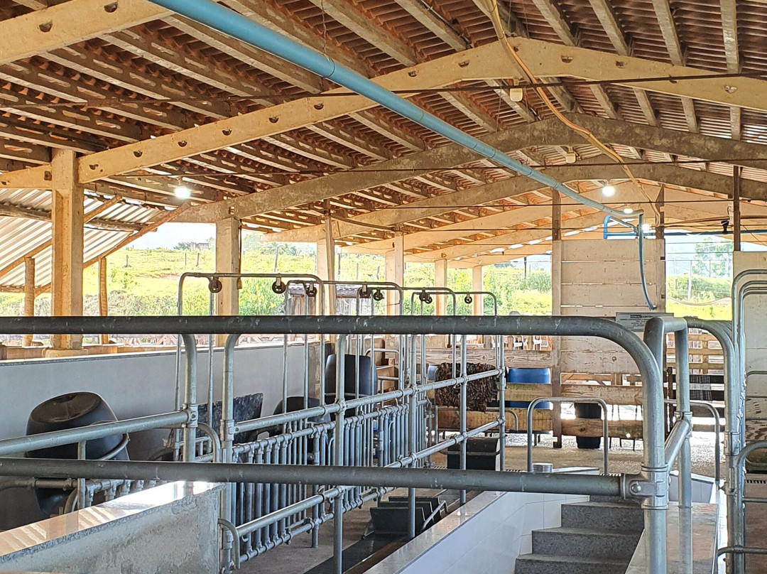 Roca da Cidade Queijaria Artesanal-Sao Roque de Minas必去景点