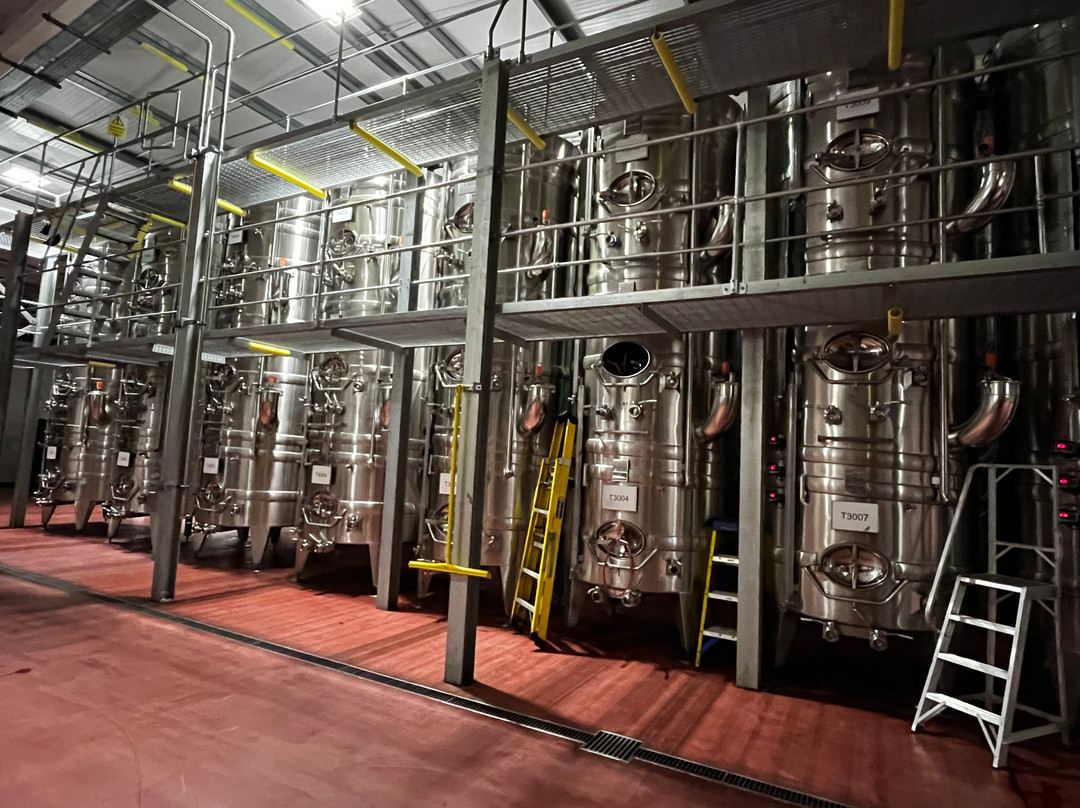 Ridgeview Wine Estate景点图片