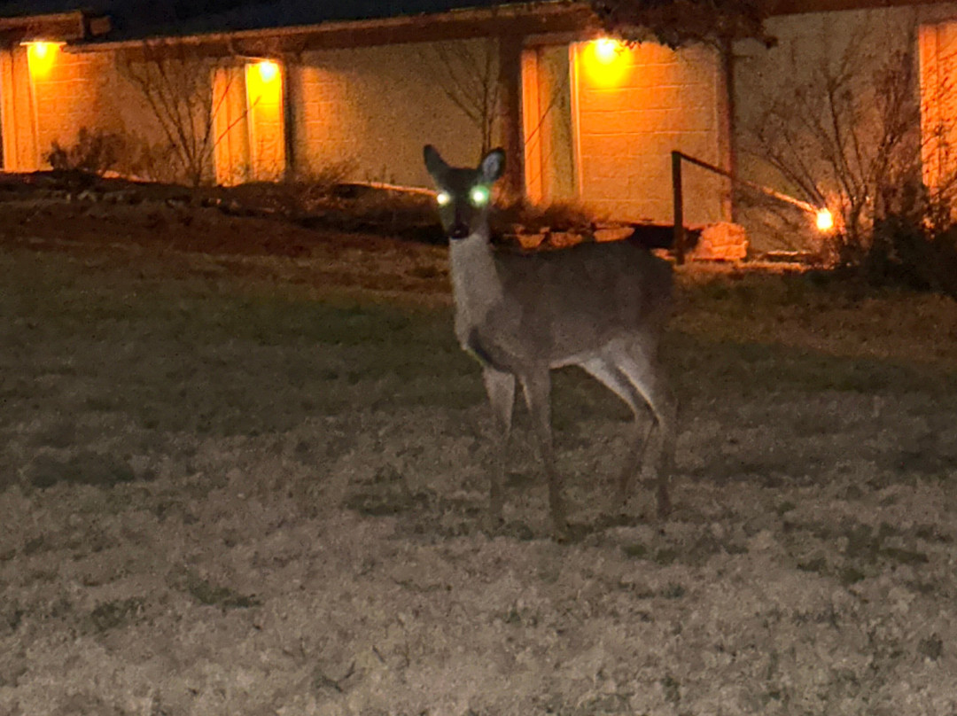 Painted Sky Inn主图