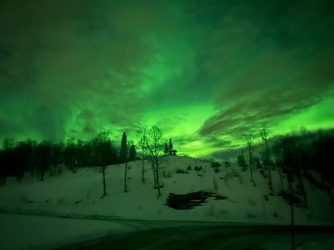 Aurora Borealis Observatory Senja景点图片