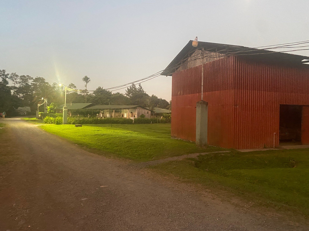 Finca Amistad Cacao Lodge主图