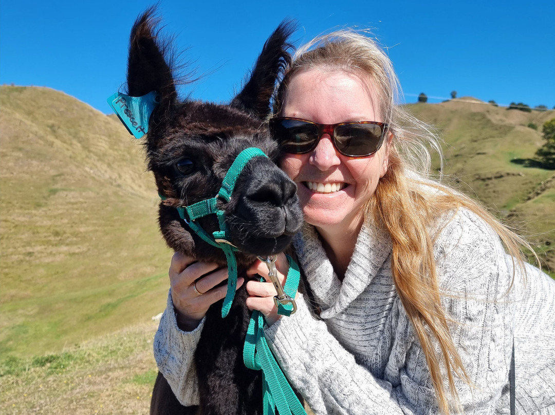 Nevalea Alpacas景点图片