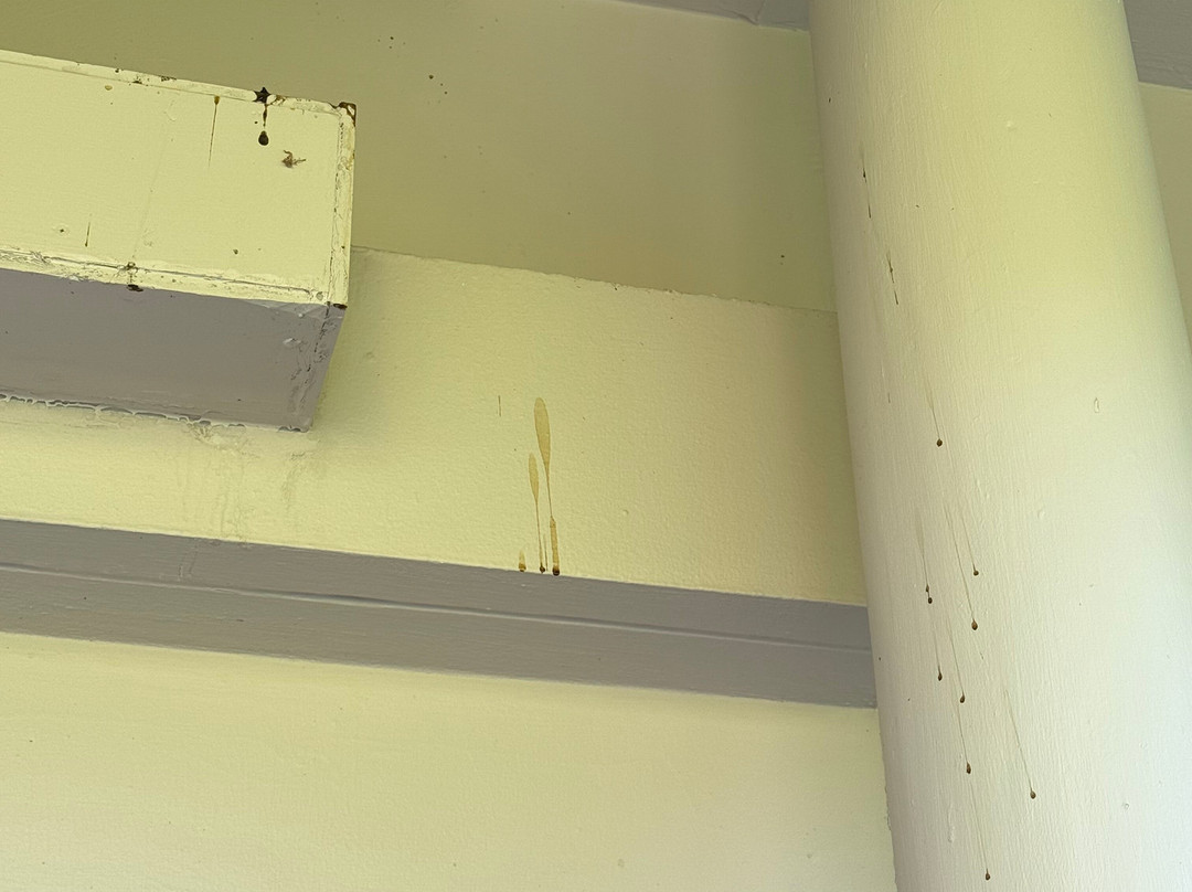 萨罗晋酒店主图