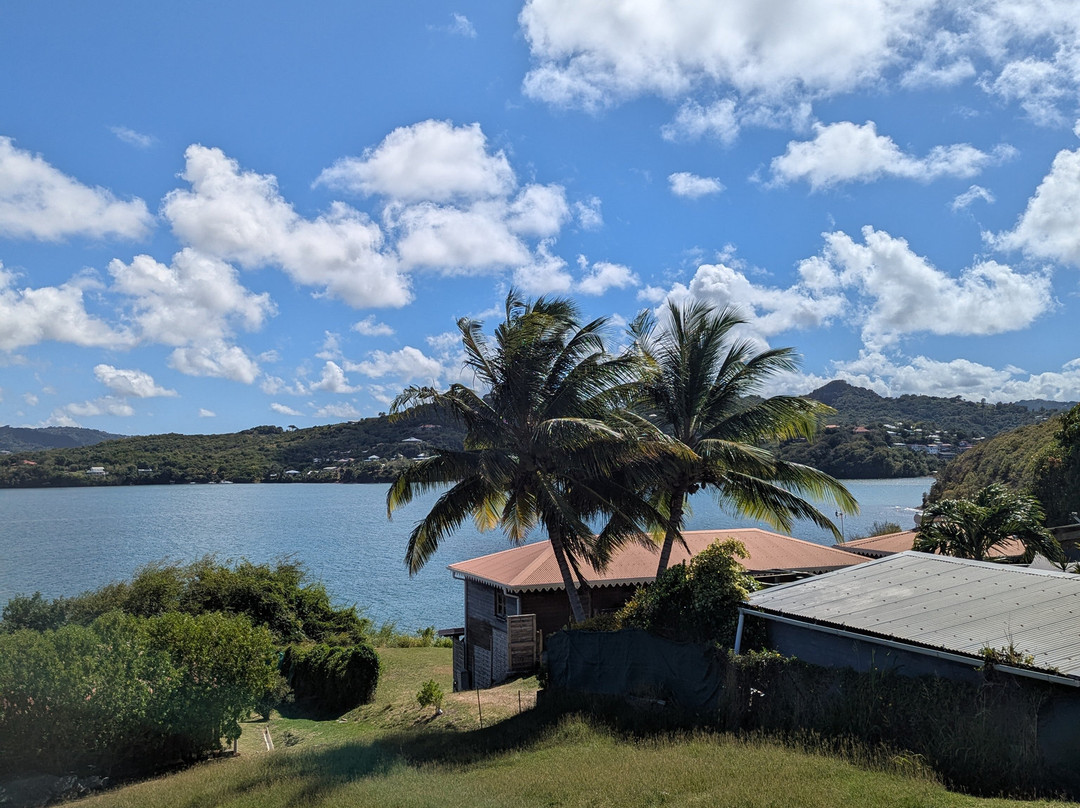 Matt'Excursions Nautiques-Le Francois必去景点