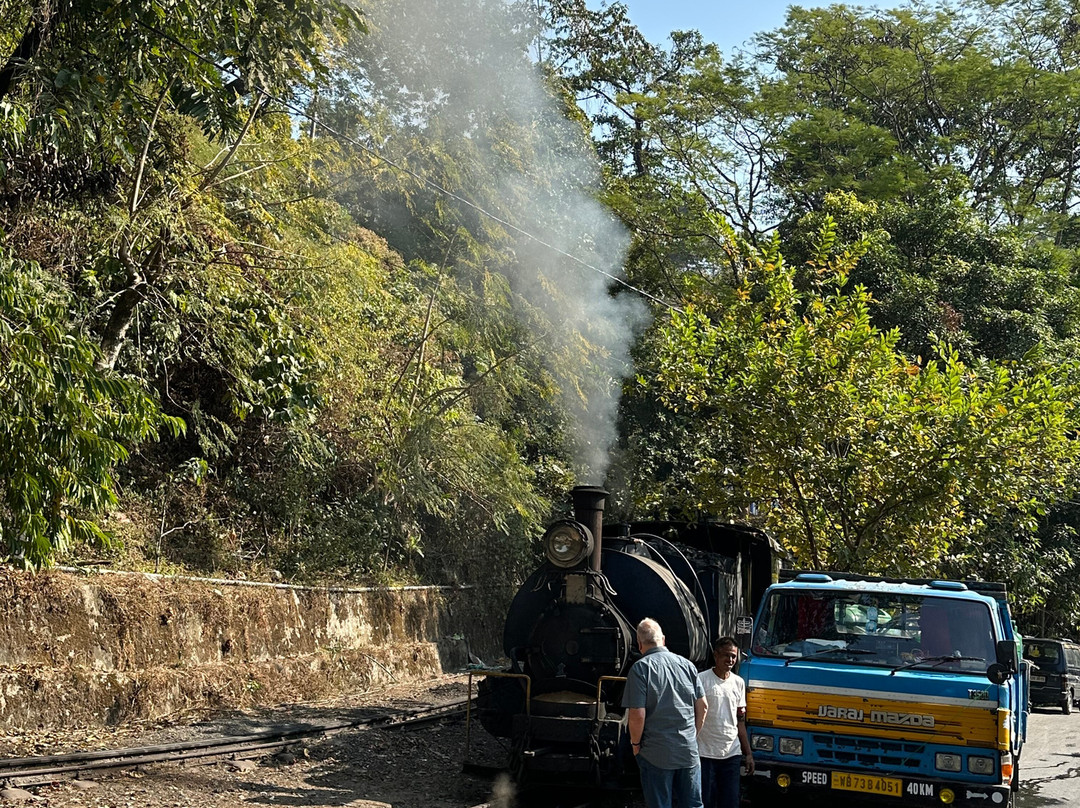 Darjeeling Himalayan Railway-大吉岭必去景点