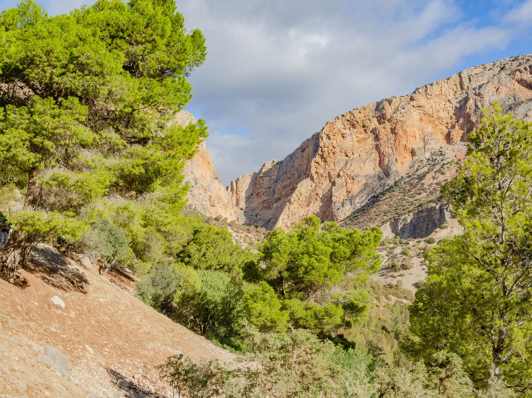 El Valle del Hoyo景点图片