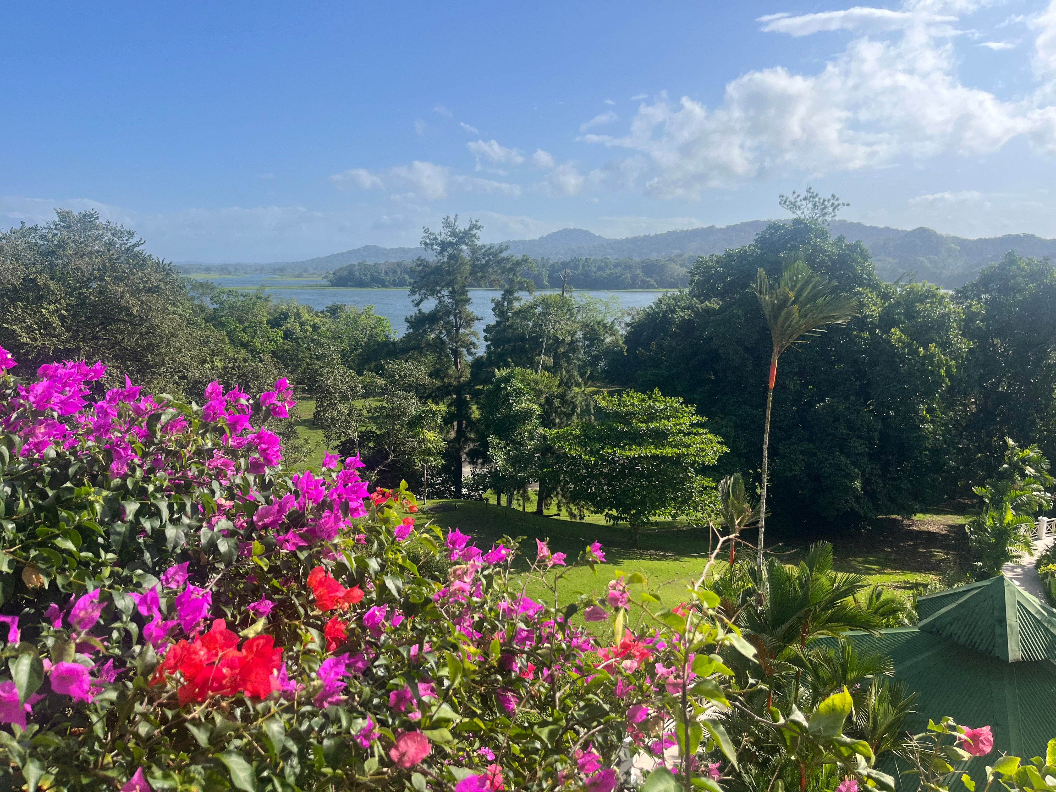 Gamboa Rainforest Reserve-浴室