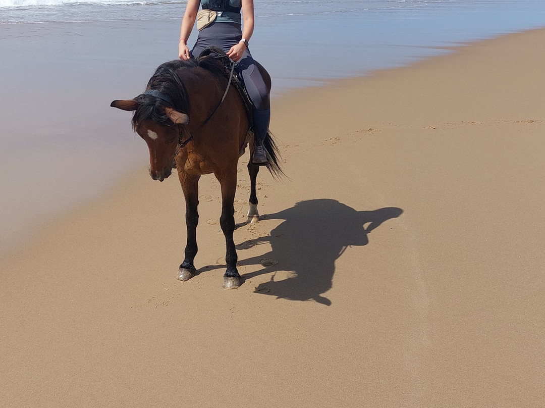 Bhangazi Horse Safaris-圣露西亚必去景点