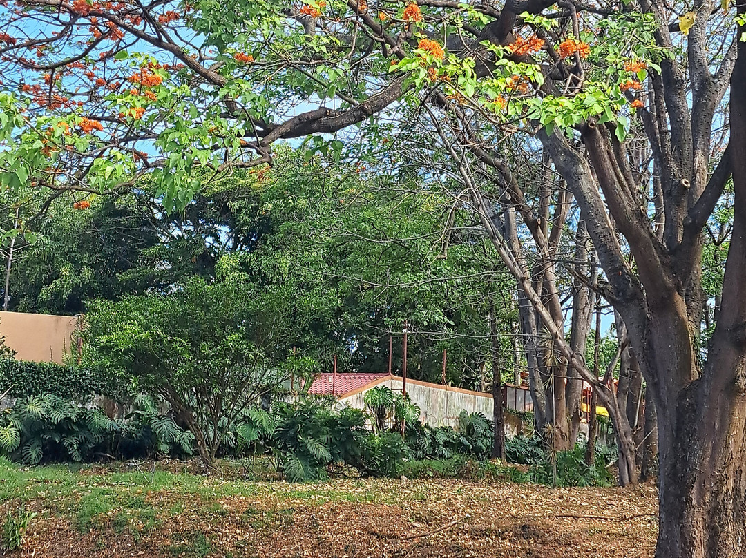 圣何塞皮纳雷斯凯悦广场酒店主图
