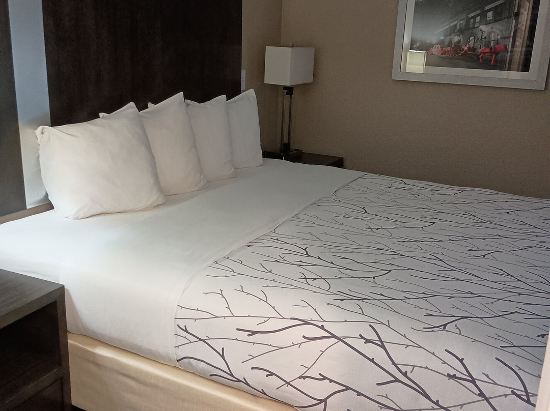 Best Western Boerne Inn & Suites主图