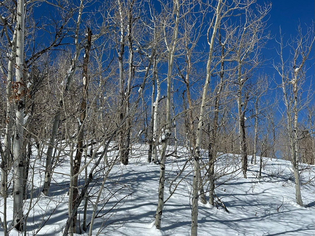 Backcountry Snowmobiling-Coalville必去景点