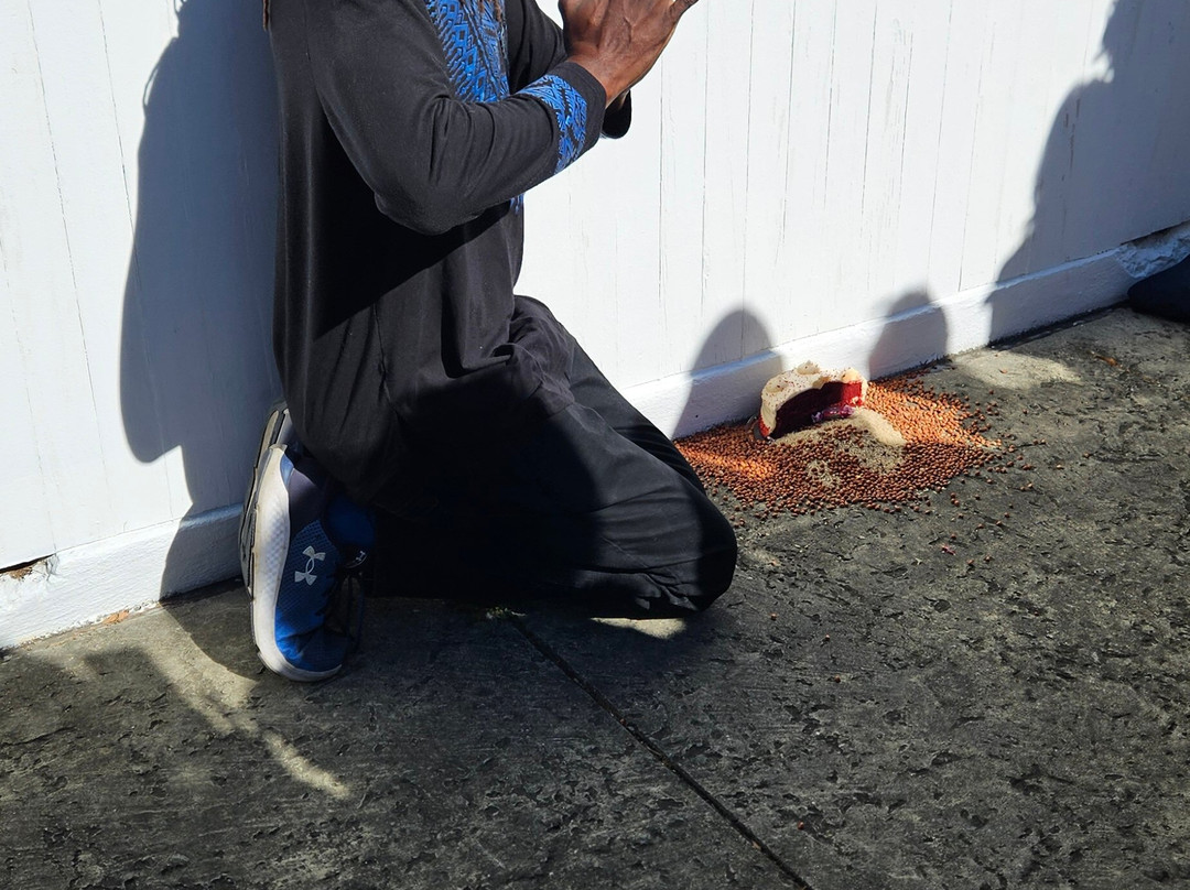 Tours By Foot New Orleans-新奥尔良必去景点