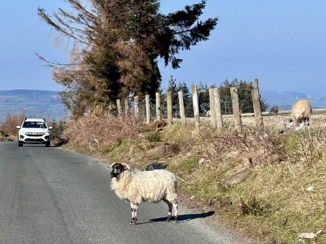 Pro Bus & Car Luxury Touring - Day Tours-都柏林必去景点