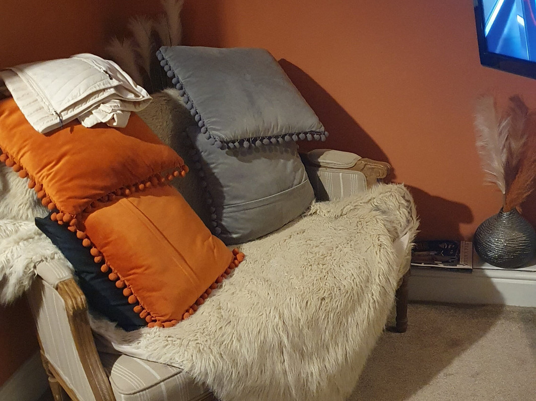 The Curious Fox主图