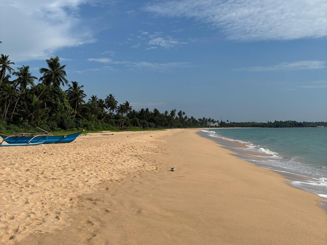 One World Foundation主图