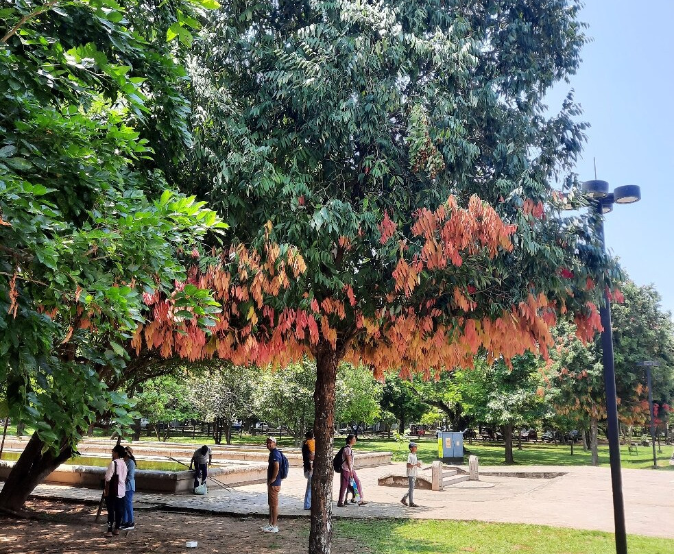 独立广场-科伦坡必去景点