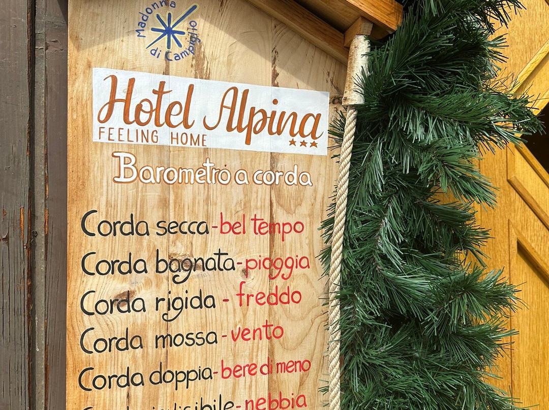 Hotel Alpina主图