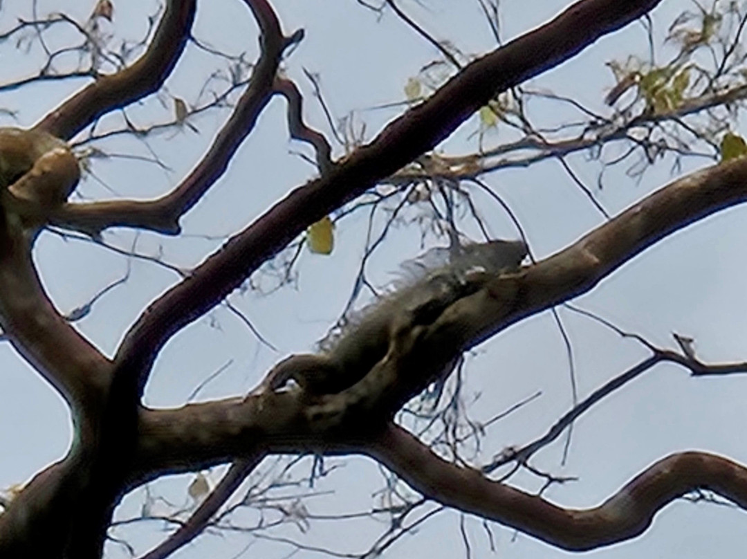 Costa Rica Roots Tours-托图杰多必去景点