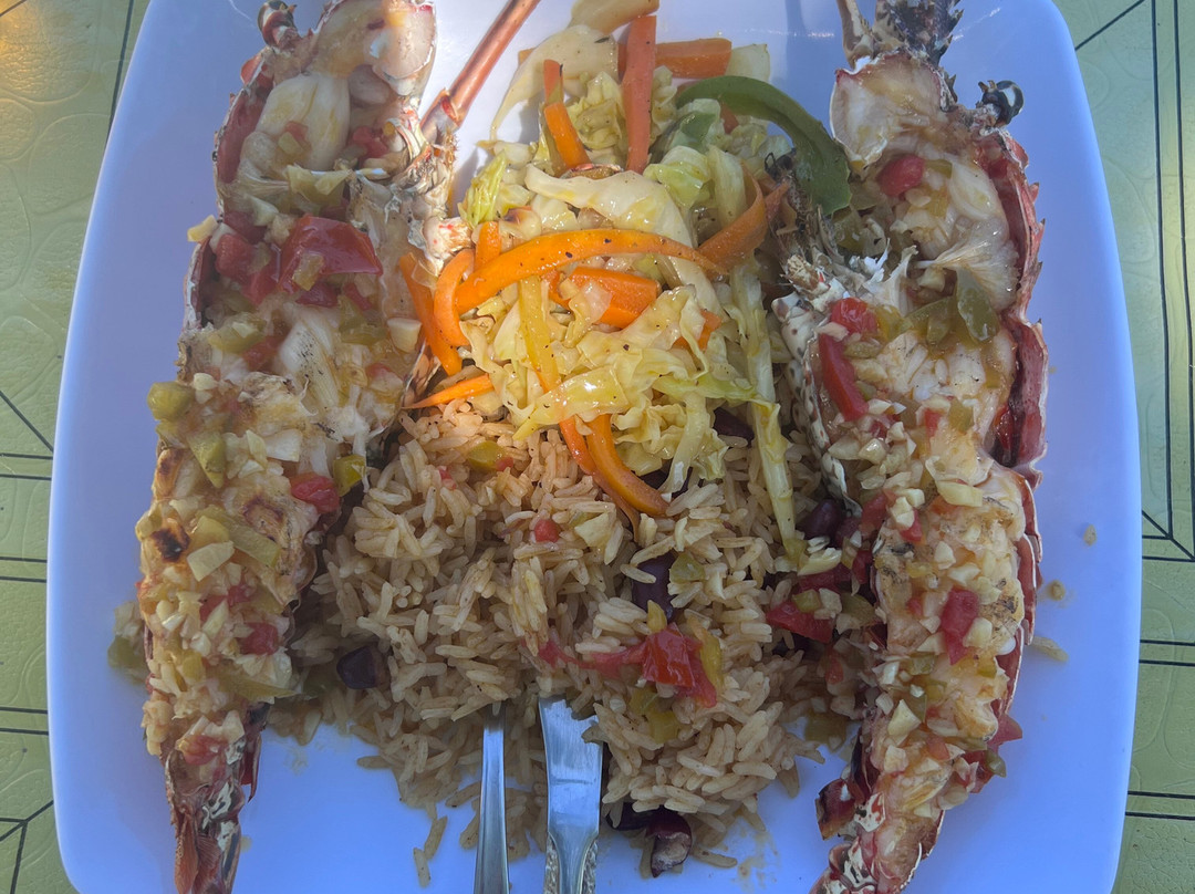 Captain Jace Allen Glass Bottom Boat Tours Negril-内格里尔必去景点