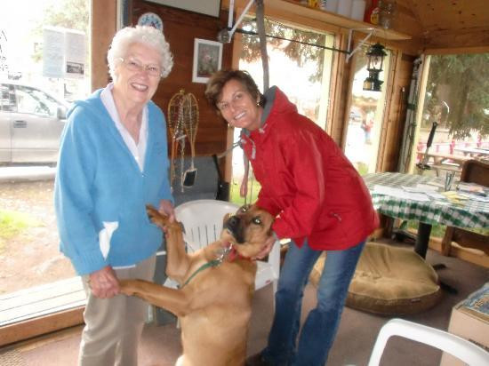 House of Seven Trees主图