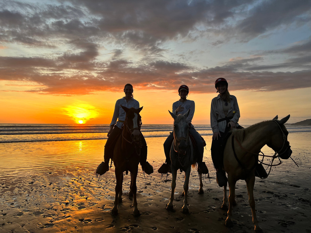 Vista Celestial主图