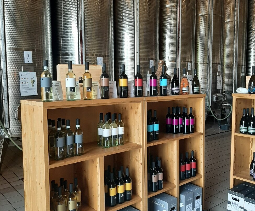 Casa Baccichetto Azienda Agricola景点图片