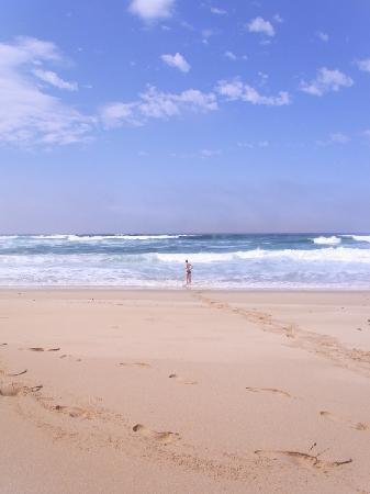 Overzee Guesthouse B&B主图