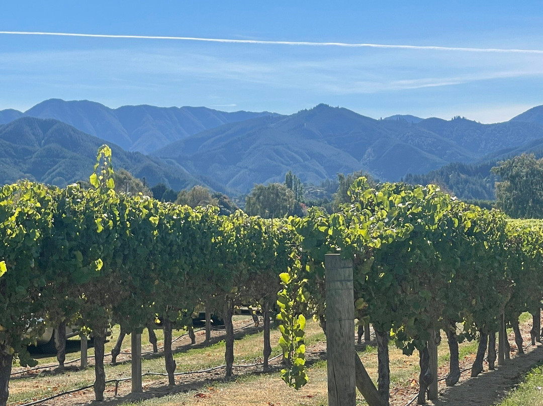 Saint Clair Family Estate Vineyard Kitchen景点图片