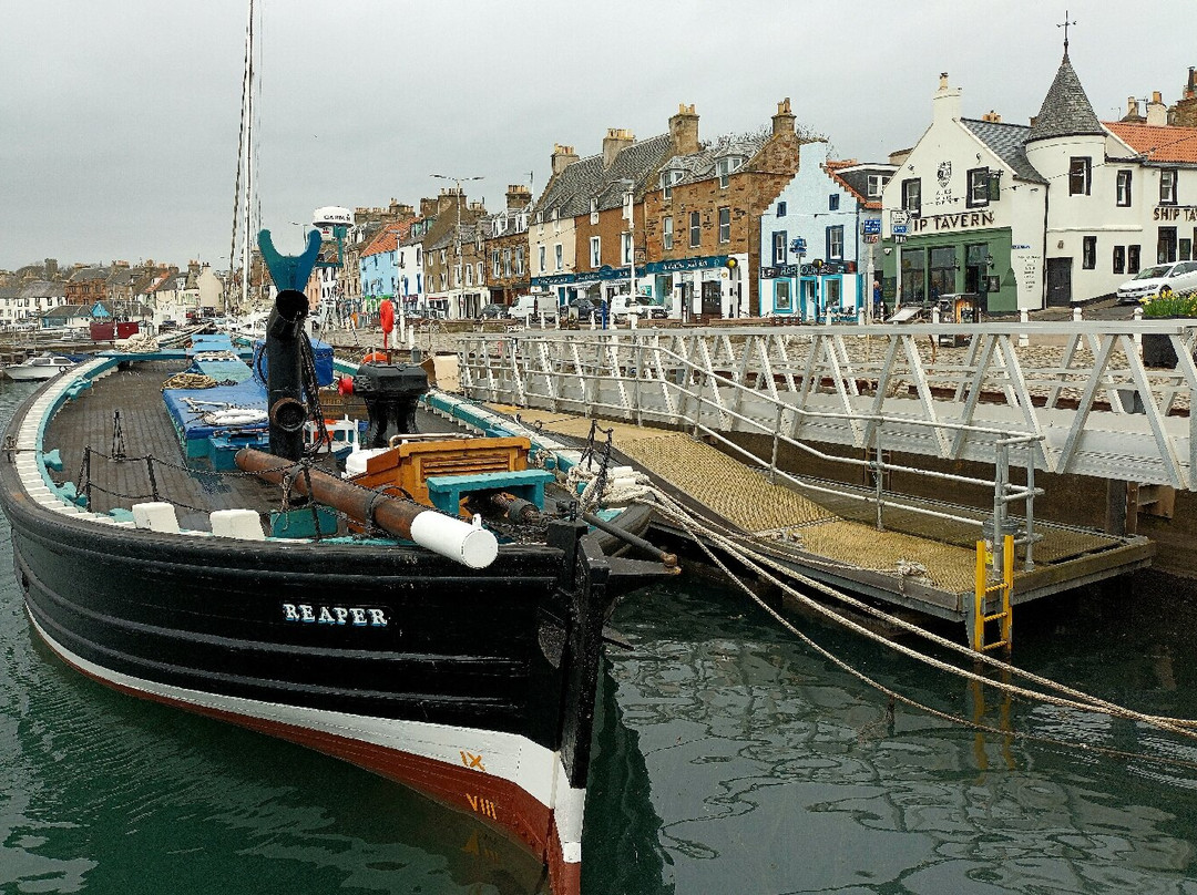 Anstruther Harbour景点图片