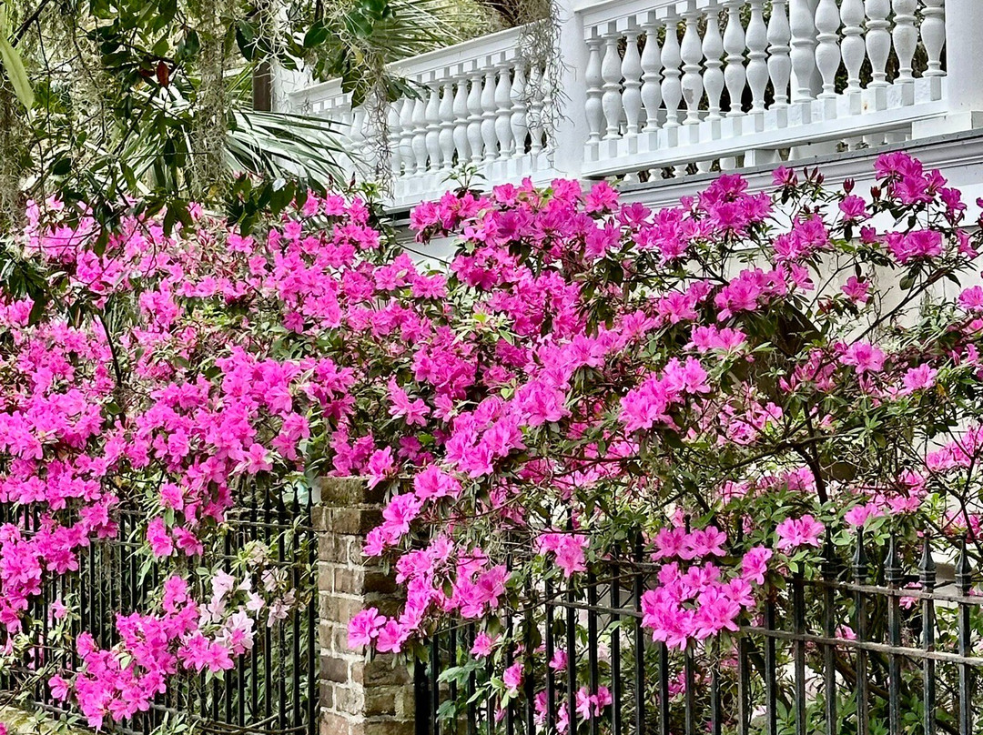 The Point-博福特必去景点