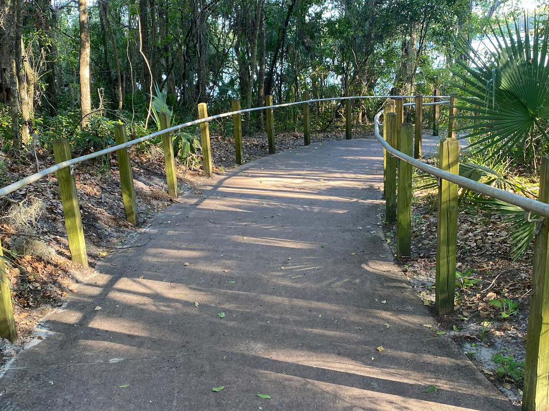 The Ann Stevens House主图